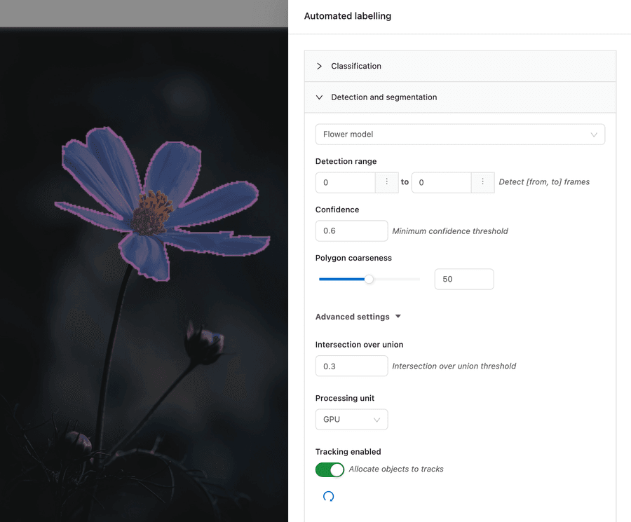 Flower segmentation example