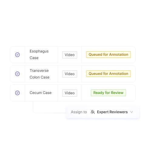 Expert review quality control for gastroenterology