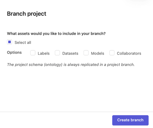 Branch project