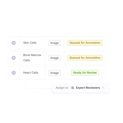 Expert review quality control for histology and pathology